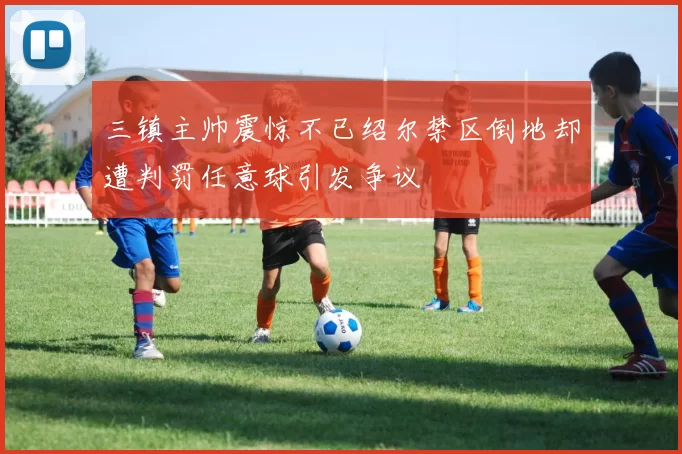 三镇主帅震惊不已绍尔禁区倒地却遭判罚任意球引发争议